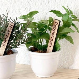 Gepersonaliseerde gegraveerde kruidenborden/zaailing/plant/tuinborden gemaakt van eikenhout