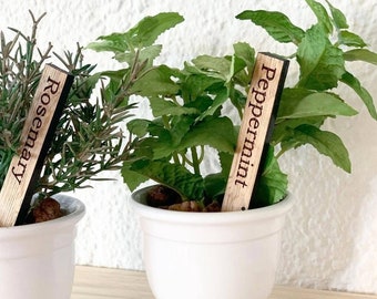 Small herb signs/seedling sign made from Oak