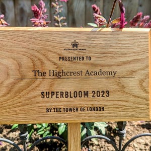 Può includere: Targa in legno incisa, presentata a The Highcrest Academy per Superbloom 2023 dalla Torre di Londra. La targa è montata su un paletto di legno, con uno sfondo sfocato di fiori e fogliame.