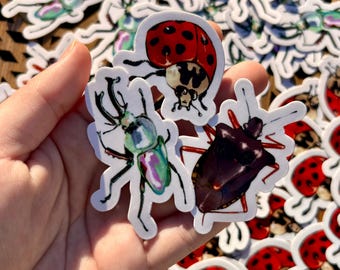 Bugs || Stickers