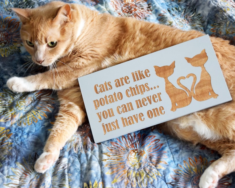 Cats Are Like Potato Chips You Can Never Just Have One 5x10 Etsy