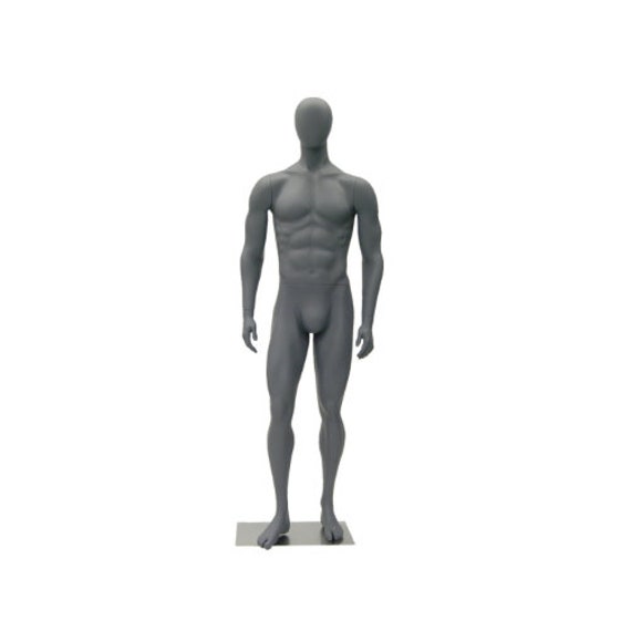 Male Half Body Mannequin, Egg Head, Torso W/ Detachable Arms on Stand - Wood