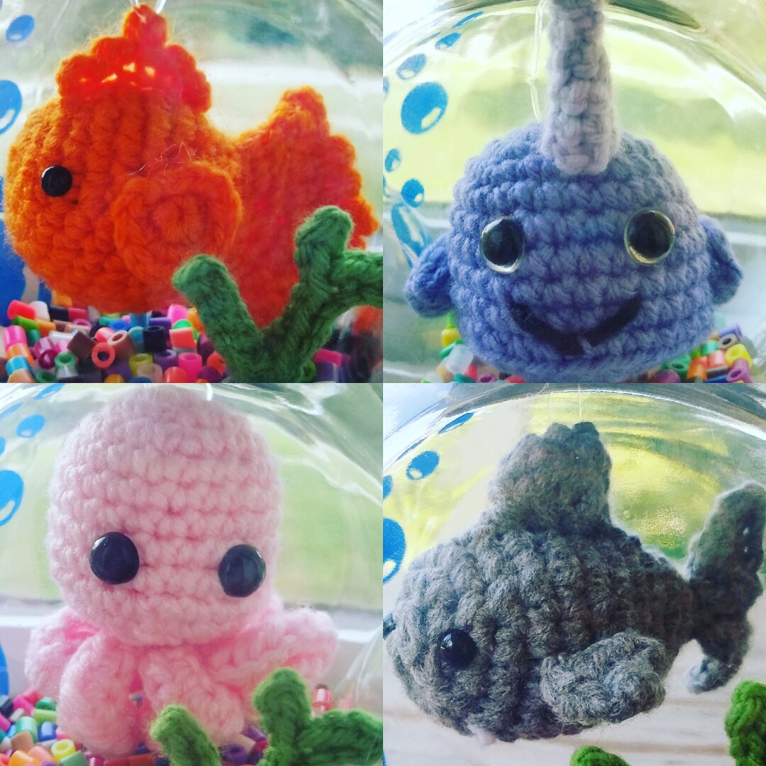 Sin complicaciones, enjuague o alimente a los peces pulpo