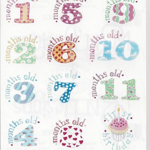 NRN Designs ~ Baby's First Year Stickers ~ One Month thru First Birthday ~ NLA