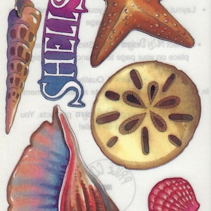 May include: A set of colorful seashell stickers with a starfish, sand dollar, and the words "SHELLS" and "SEASHORE".