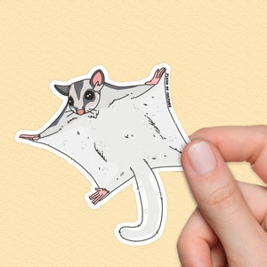 Sugar Glider Sticker, Australian Possums, Gifts from Australia