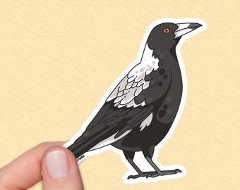 Australian Magpie Sticker, Australian Birds Decals Waterproof for Water bottles, Laptops and Lunchboxes