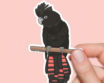 Black Cockatoo Sticker, Red-tailed Black Cockatoo, Australian Bird Decals for Water bottles, Laptops and Lunchboxes