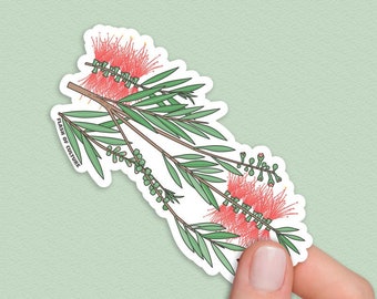 Australian Bottlebrush Flower Sticker, Native Plants from Australia, Gifts from Australia