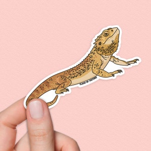 Bearded Dragon Sticker, Pogona, Australian Native Animal Stickers, Reptile Gifts