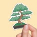 Waterproof Stickers | Bonsai stickers, Japanese Bonsai, Bonsai tree, bonsai art, bonsai sticker 