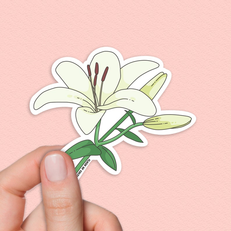 Lily Flower Sticker Lily sticker lilies Arum Flower flower Etsy