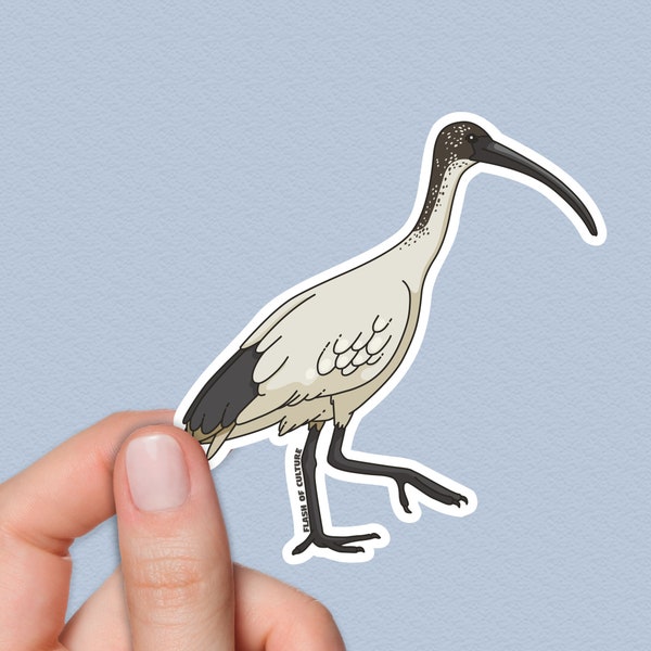 White Ibis Stickers, Australian Bin Chicken, Native Australian Birds, Gifts from Australia