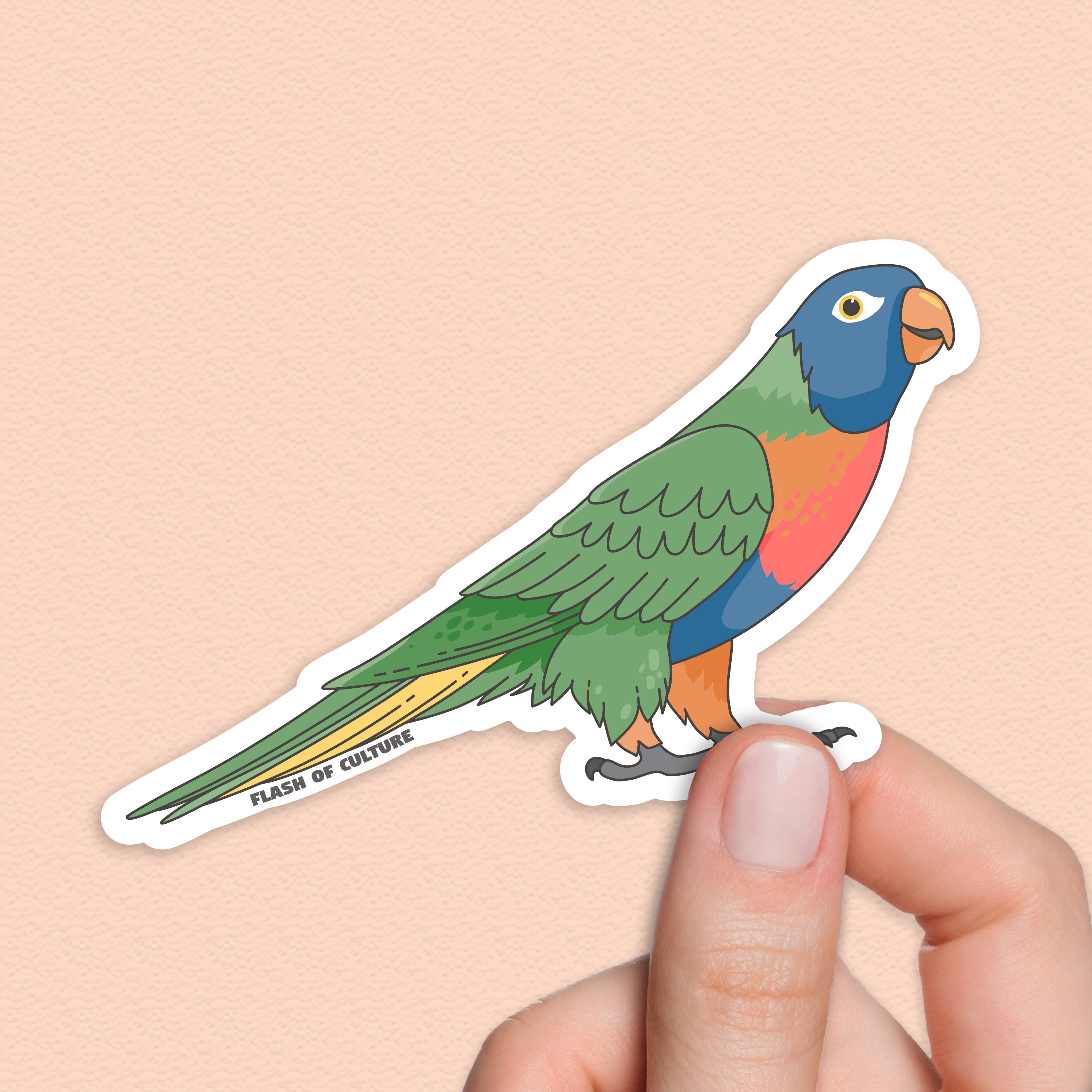 Rainbow Lorikeet Sticker Lorikeet Stickers Australian animal Etsy