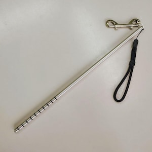 Può includere: Un puntatore in metallo argentato con un cinturino da polso nero e una clip in metallo. Il puntatore ha una serie di anelli neri vicino alla punta. La clip è attaccata alla parte superiore del bastone.