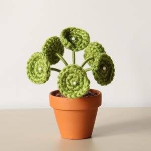 Puede incluir: Una planta verde de crochet con hojas redondas en una maceta de terracota. La planta tiene cuentas blancas en el centro de cada hoja.