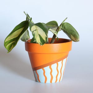 Op de afbeelding: Een kleine potplant met groene en witte bladeren. De oranje terracotta pot is versierd met een diagonale bruine streep en een lichtblauwe sectie met oranje golvende lijnen. De pot staat tegen een witte achtergrond.