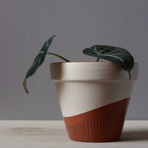 Hand painted terracotta plant pot for houseplants | Customisable pot with drainage and saucers to match | Great plant gift idea