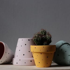 Hand Painted Terracotta Plant Pot: Custom Color Dots, Drainage & Saucer