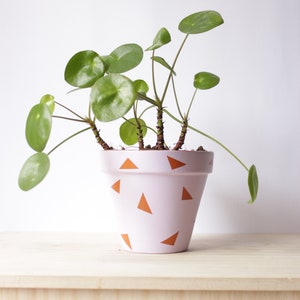 Puede incluir: Una planta de Pilea peperomioides en maceta con hojas verdes redondas. La maceta rosa claro está decorada con triángulos naranjas. La planta está sobre una superficie de madera clara sobre un fondo blanco.