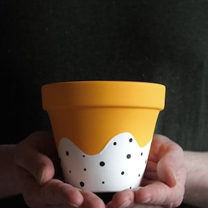 Vaso per piante in terracotta dipinto a mano: colori e drenaggio personalizzati