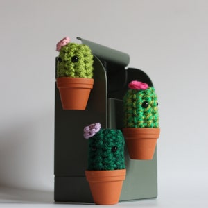 Puede incluir: Tres pequeñas plantas de cactus de ganchillo en macetas de terracota con flores rosas en la parte superior. Los cactus se muestran en un organizador de metal verde.