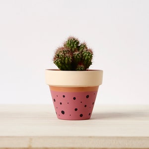 Hand painted terracotta plant pot for houseplants | Customisable pot with drainage and saucers to match | Great plant gift idea