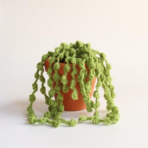 May include: A handcrafted crochet plant, featuring a string of pearls design. The plant is a vivid green and is potted in a terracotta pot. The cascading strands of the plant create a natural and visually appealing aesthetic.
