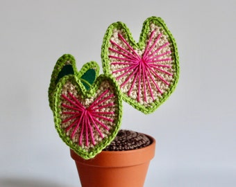 Crochet Caladium House Plant - Rare house plant gift idea - Indoor plant decor