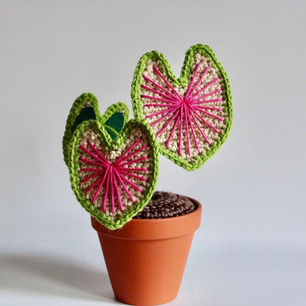 Crochet Caladium House Plant - Idea de regalo de planta de casa rara - Decoración de plantas de interior