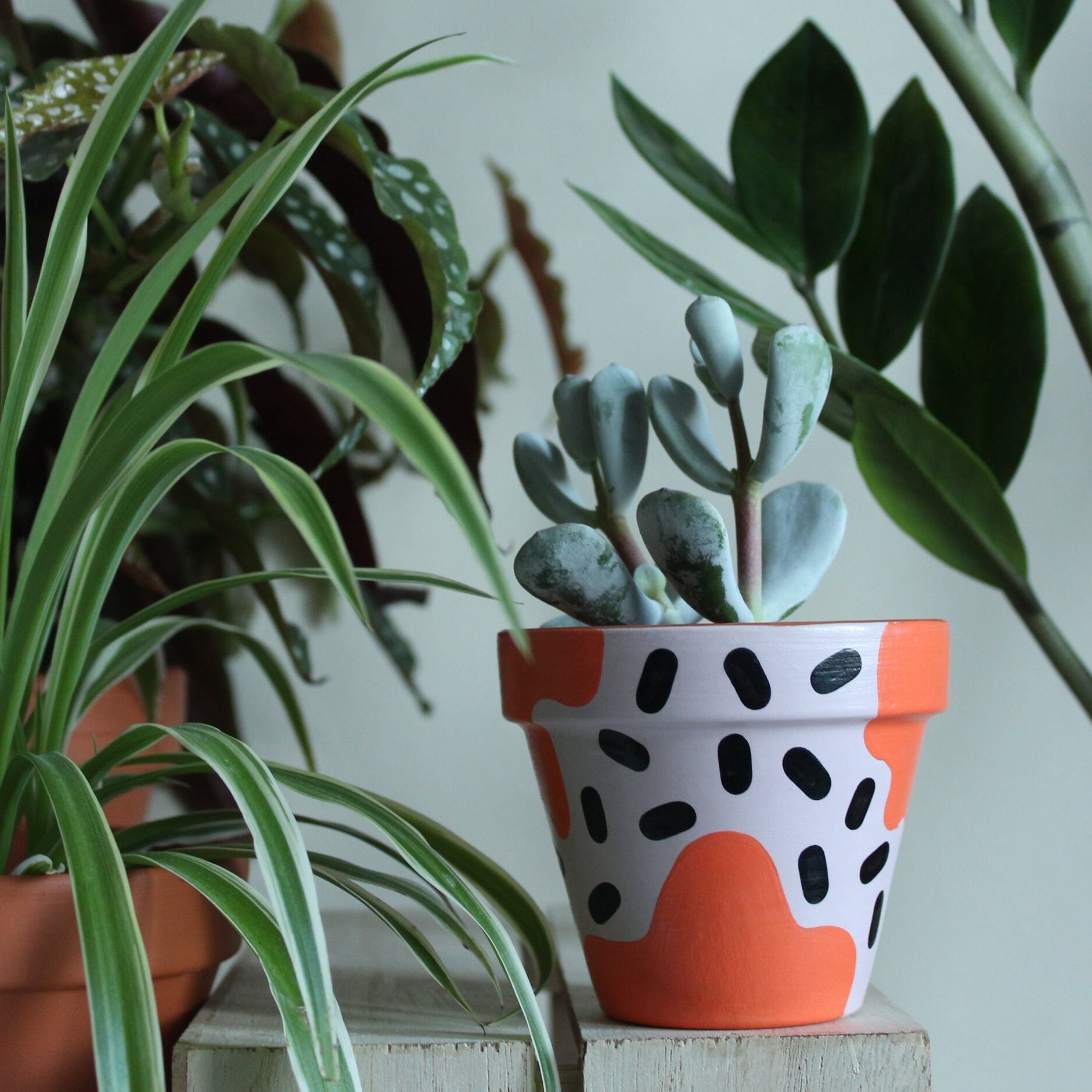 potted plant liners Smart Pot Milk Crate Liner 12" x 12" x 12"