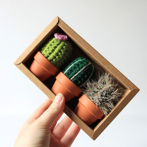 Op de afbeelding: Drie kleine gehaakte cactussen in terracotta-kleurige potjes, gerangschikt in een rechthoekige bruine kartonnen doos. De eerste cactus is lichtgroen met een roze bloem, de tweede is donkergroen met witte strepen en de derde is pluizig.