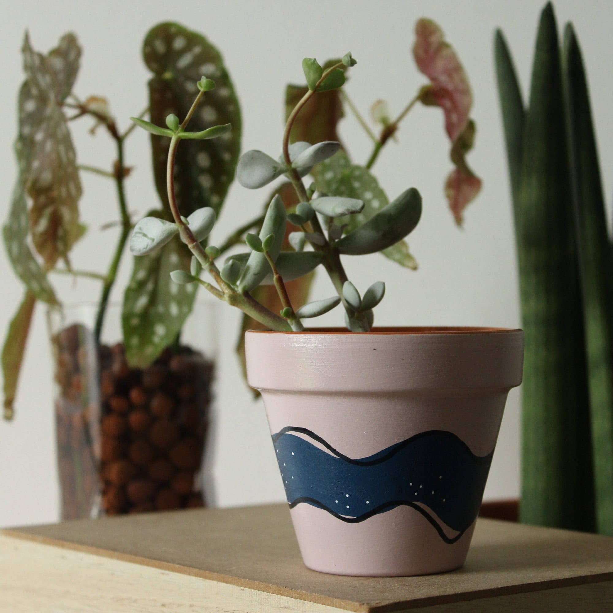 Hand painted terracotta plant pot for houseplants | Customisable pot with drainage and saucers to match | Great plant gift idea