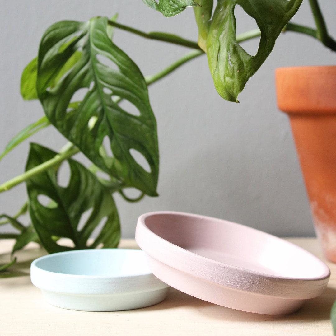 Plant Pot Saucer, Hand Painted and Available in Multiple Sizes and