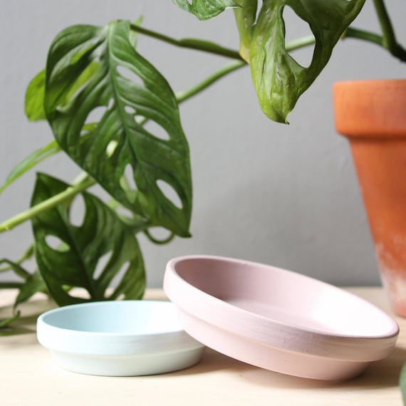Plant Pot Saucer, Hand Painted and Available in Multiple Sizes and Colours  - Etsy