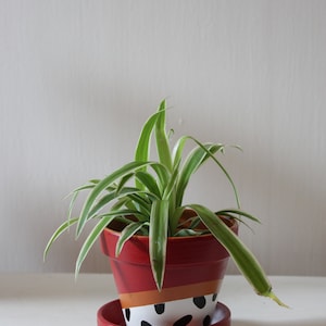 Hand painted terracotta plant pot for houseplants Customisable pot with drainage and saucers to match Great plant gift idea image 5