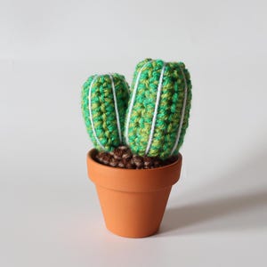 May include: A crocheted cactus plant with two green and white striped stems in a terracotta pot.