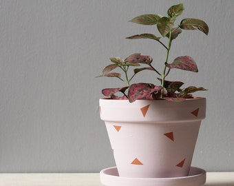 Hand painted terracotta plant pot for houseplants | Customisable pot with drainage and saucers to match | Great plant gift idea