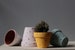 Hand painted terracotta plant pot for houseplants | Customisable pot with drainage and saucers to match | Great plant gift idea 