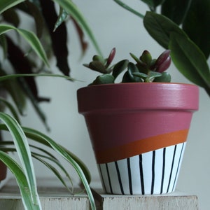 Handgeschilderde terracotta bloempot voor kamerplanten | Aanpasbare pot met afvoer en bijpassende schoteltjes | Geweldig plantencadeau-idee