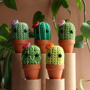 May include: Five small, crocheted cactus figures in terracotta-coloured pots. Each cactus features black bead eyes and a small, colourful crocheted flower on top. The cacti vary in shades of green, with some displaying white stitched details.