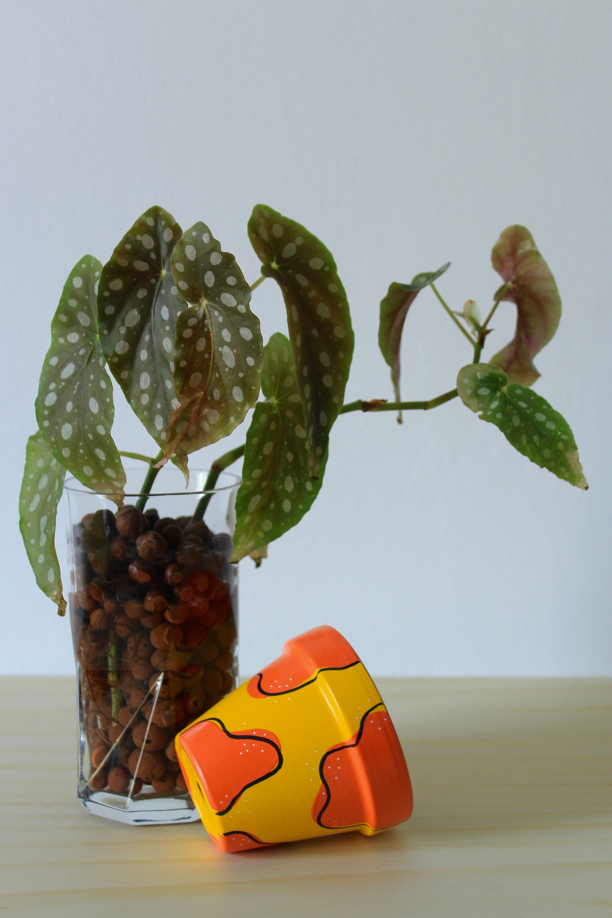 手描きテラコッタ植木鉢：色とサイズをカスタマイズ - Etsy 日本