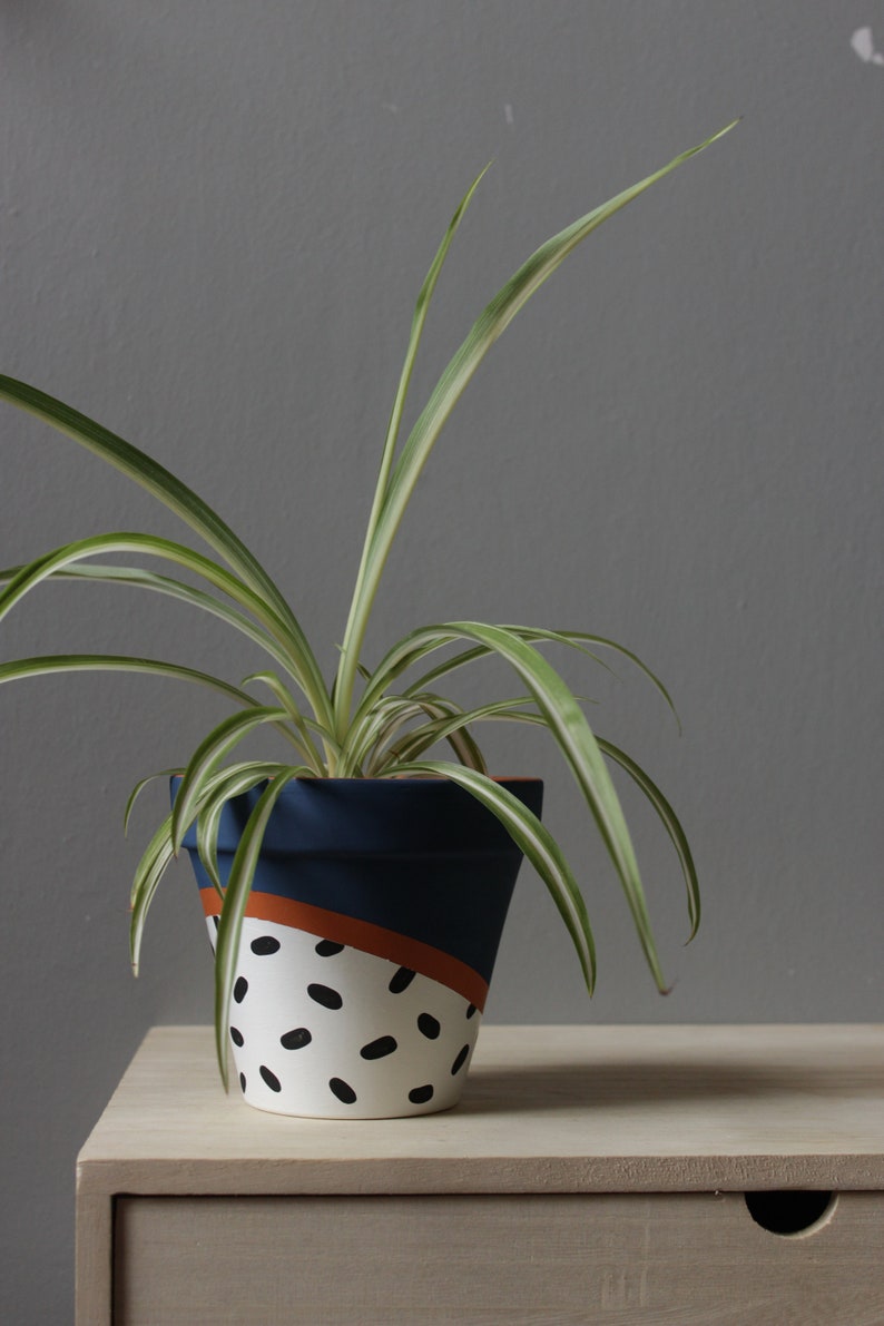 Hand painted terracotta plant pot for houseplants Customisable pot with drainage and saucers to match Great plant gift idea image 7