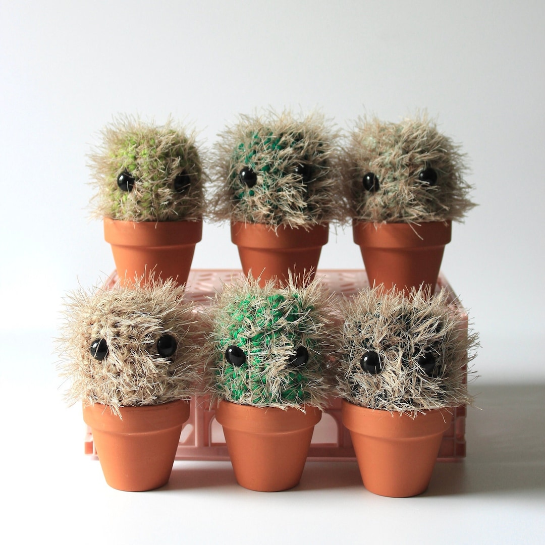 Crochet Cactus in Terracotta Pot: Handmade Plant Lover Gift - Etsy Canada