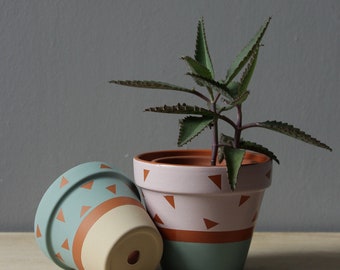 Hand painted terracotta plant pot for houseplants | Customisable pot with drainage and saucers to match | Great plant gift idea