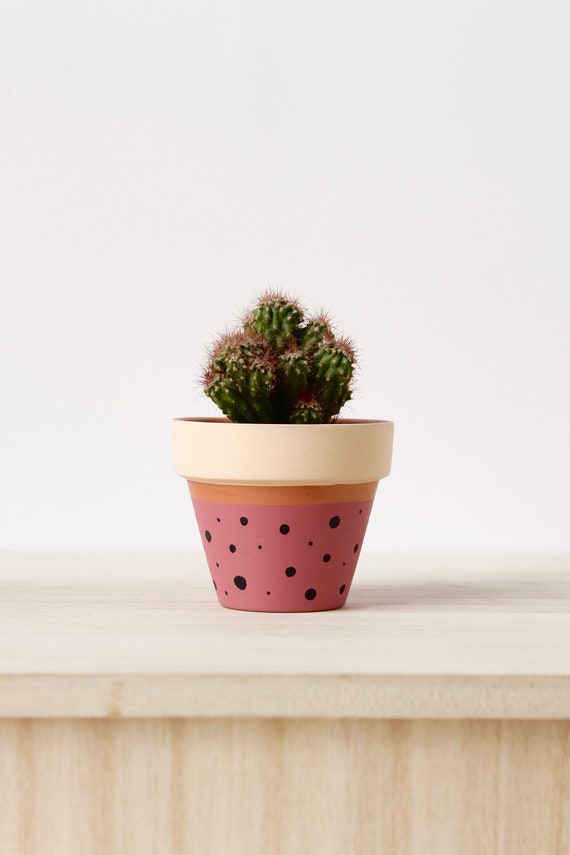 Hand Painted Terracotta Plant Pot: Customizable Indoor Planter - Etsy