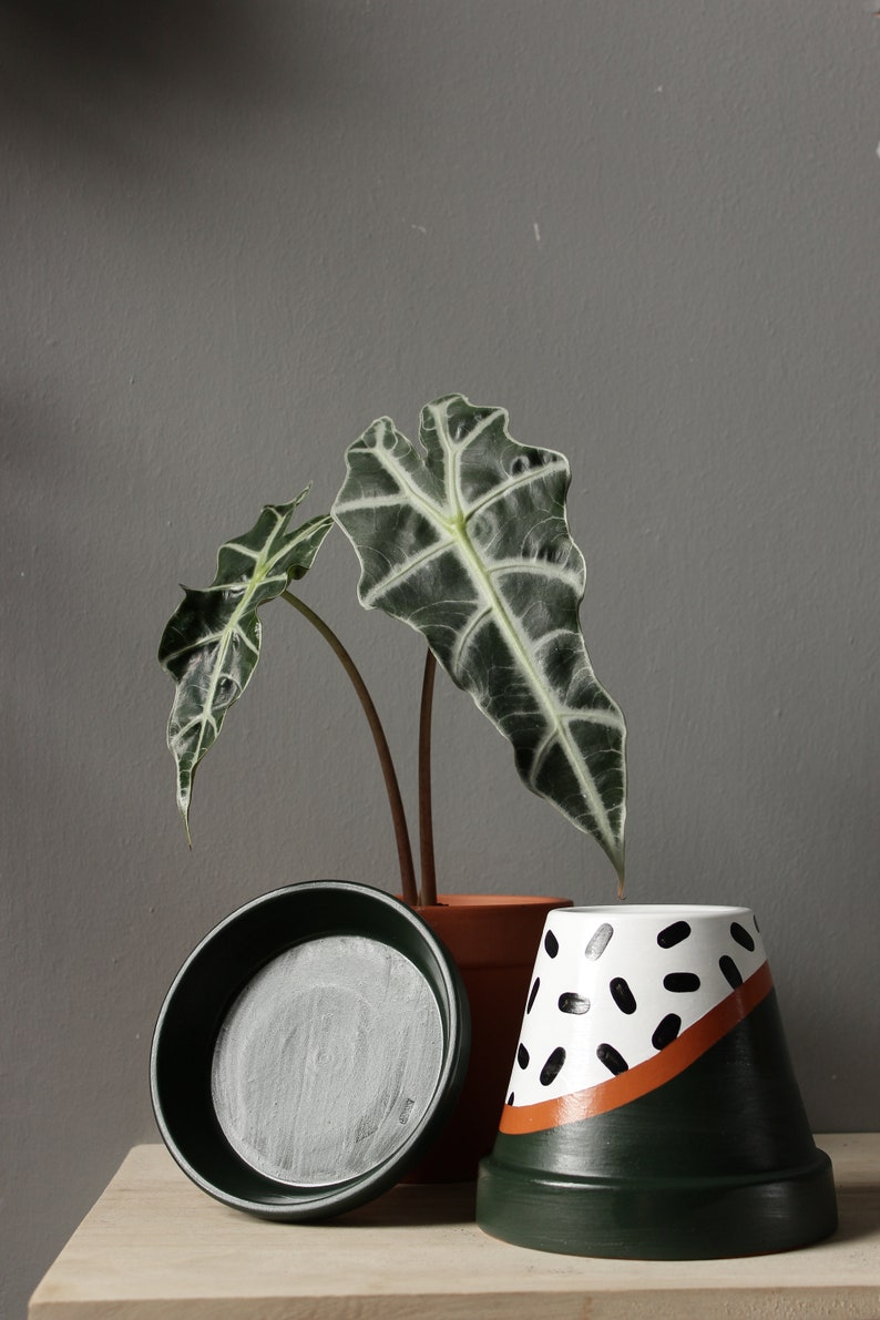 Hand painted terracotta plant pot for houseplants Customisable pot with drainage and saucers to match Great plant gift idea image 9