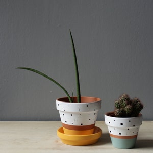 Hand painted terracotta plant pot for houseplants | Customisable pot with drainage and saucers to match | Great plant gift idea