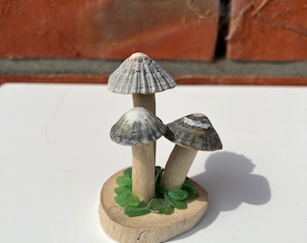 Driftwood mushrooms small sea tasters, small mushrooms made of driftwood with sea glass, driftwood mushrooms, mushrooms