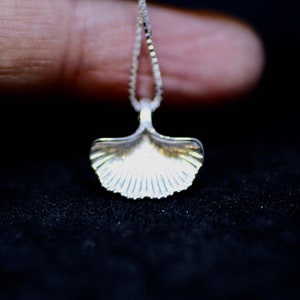 May include: A silver necklace with a seashell pendant. The pendant is detailed with ridges and has a smooth, polished finish.